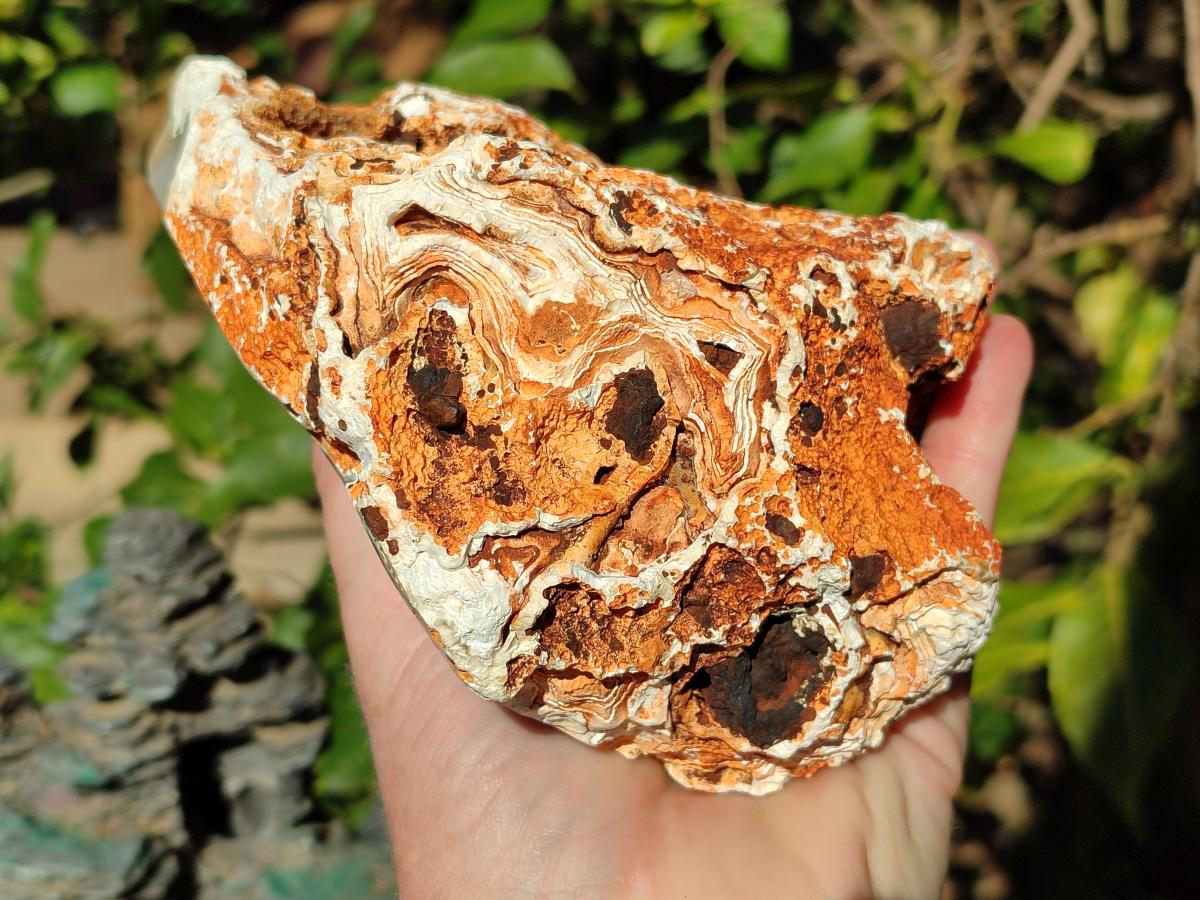 Polished Large Crystalline Agate Geode x 1 From Maintirano, Madagascar - Toprock Gemstones and Minerals 