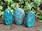 Polished Blue Apatite Standing Display Pieces x 3 From Betroka, Madagascar - Toprock Gemstones and Minerals 