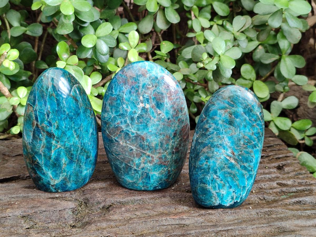 Polished Blue Apatite Standing Display Pieces x 3 From Betroka, Madagascar - Toprock Gemstones and Minerals 