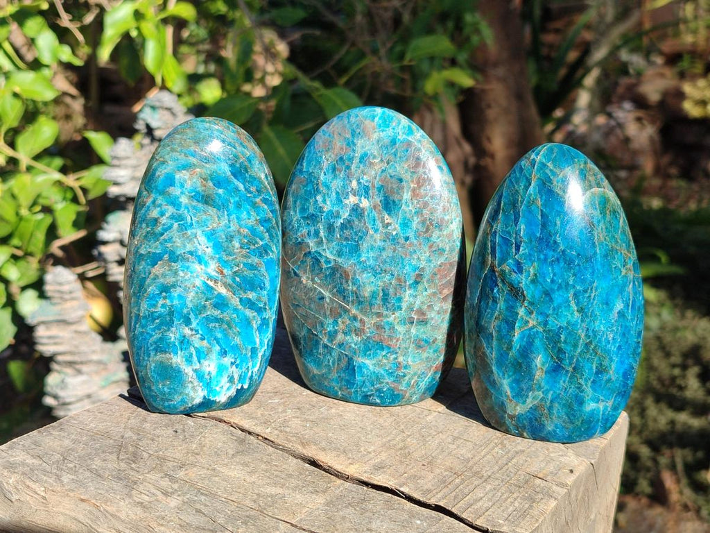 Polished Blue Apatite Standing Display Pieces x 3 From Betroka, Madagascar - Toprock Gemstones and Minerals 