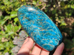 Polished Blue Apatite Standing Display Pieces x 3 From Betroka, Madagascar - Toprock Gemstones and Minerals 