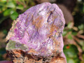 Natural Cobbed Stichtite Specimens x 12 From Barberton, South Africa - Toprock Gemstones and Minerals 