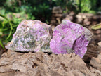 Natural Cobbed Stichtite Specimens x 12 From Barberton, South Africa - Toprock Gemstones and Minerals 