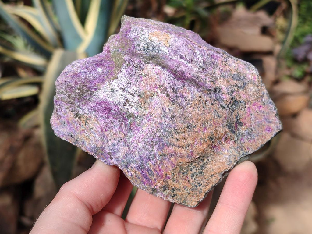 Natural Cobbed Stichtite Specimens x 12 From Barberton, South Africa - Toprock Gemstones and Minerals 