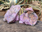 Natural Cobbed Stichtite Specimens x 12 From Barberton, South Africa - Toprock Gemstones and Minerals 
