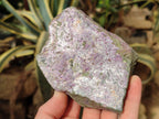 Natural Cobbed Stichtite Specimens x 12 From Barberton, South Africa - Toprock Gemstones and Minerals 
