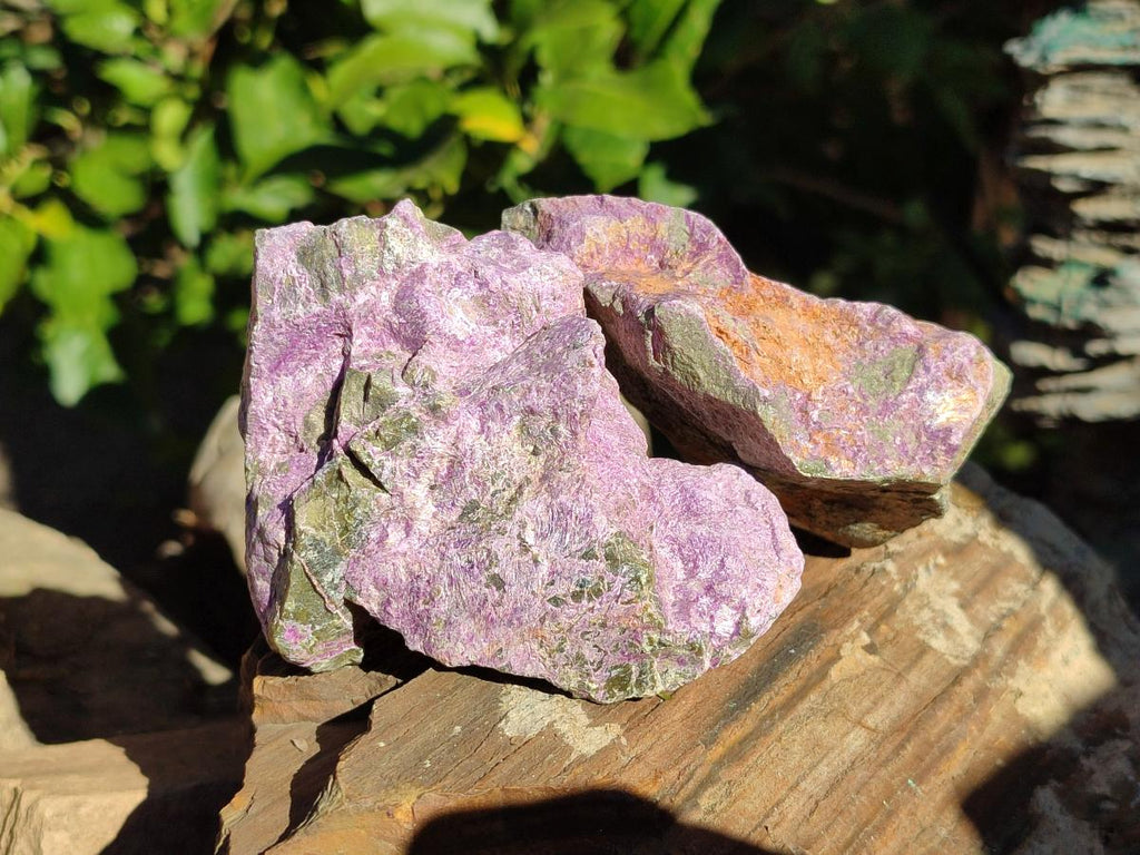 Natural Cobbed Stichtite Specimens x 12 From Barberton, South Africa - Toprock Gemstones and Minerals 