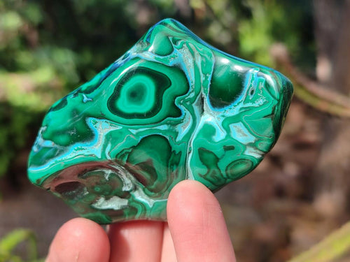Polished Malacolla Free Forms x 12 From Kulukuluku, Congo - Toprock Gemstones and Minerals 