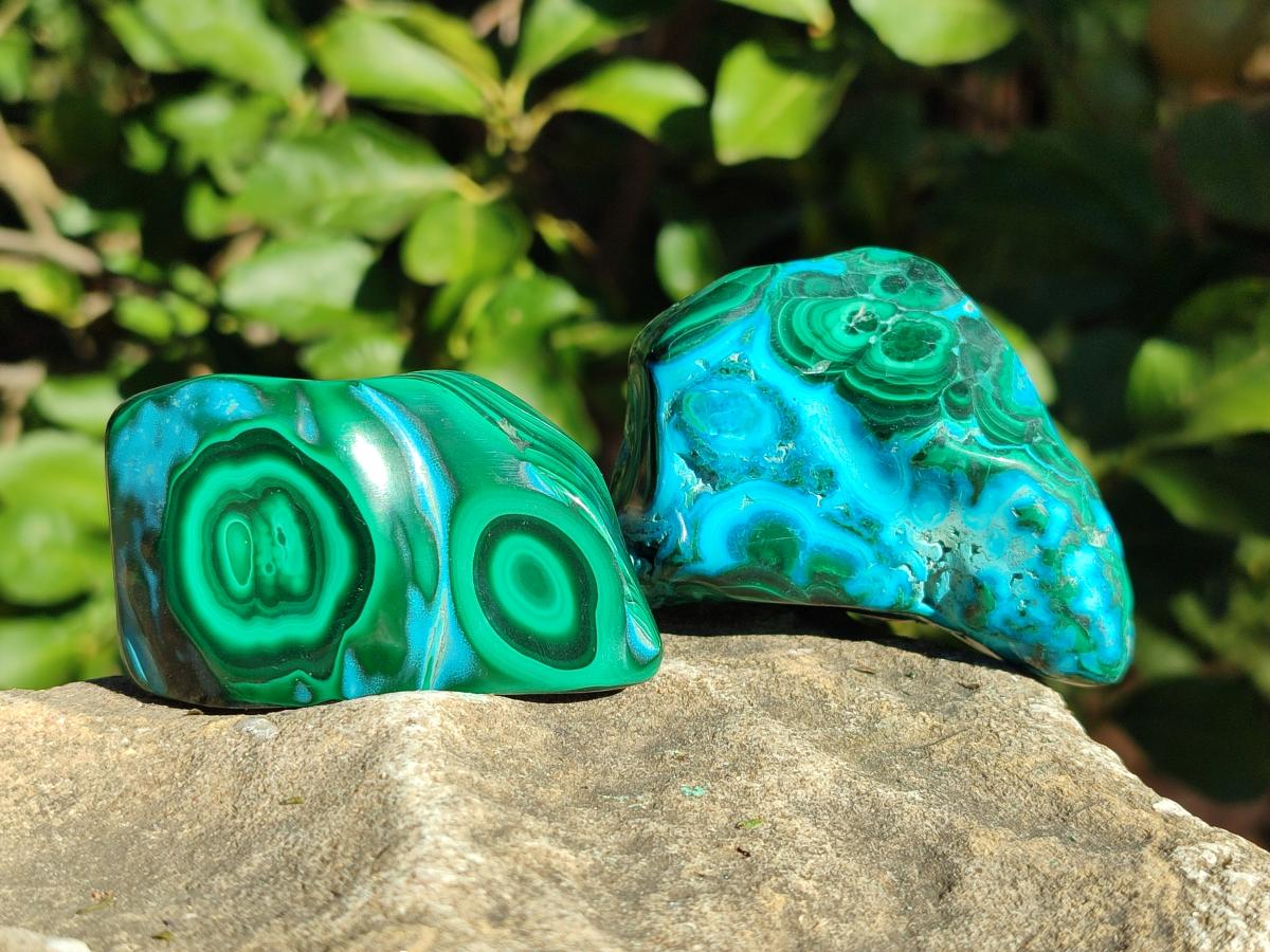 Polished Malacolla Free Forms x 12 From Kulukuluku, Congo - Toprock Gemstones and Minerals 