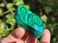 Polished Malacolla Free Forms x 12 From Kulukuluku, Congo - Toprock Gemstones and Minerals 