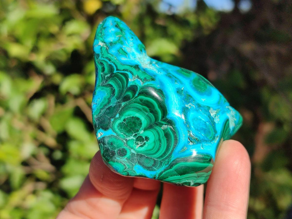 Polished Malacolla Free Forms x 12 From Kulukuluku, Congo - Toprock Gemstones and Minerals 