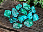 Polished Malacolla Free Forms x 12 From Kulukuluku, Congo - Toprock Gemstones and Minerals 