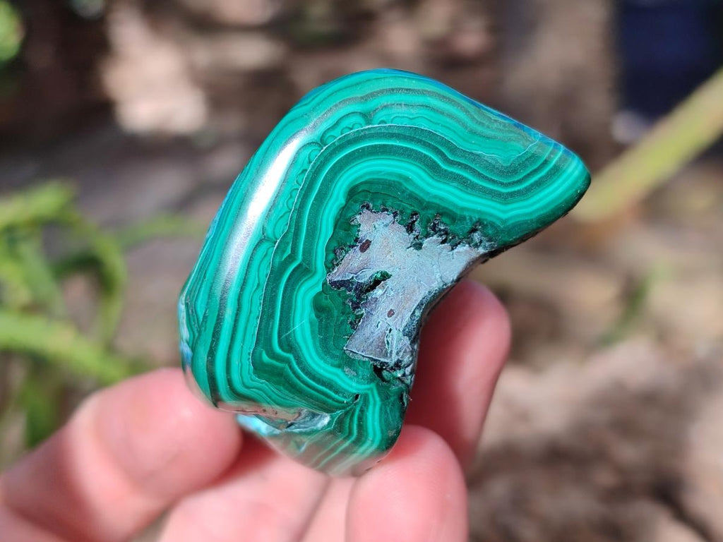 Polished Malacolla Free Forms x 12 From Kulukuluku, Congo - Toprock Gemstones and Minerals 