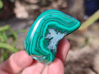 Polished Malacolla Free Forms x 12 From Kulukuluku, Congo - Toprock Gemstones and Minerals 