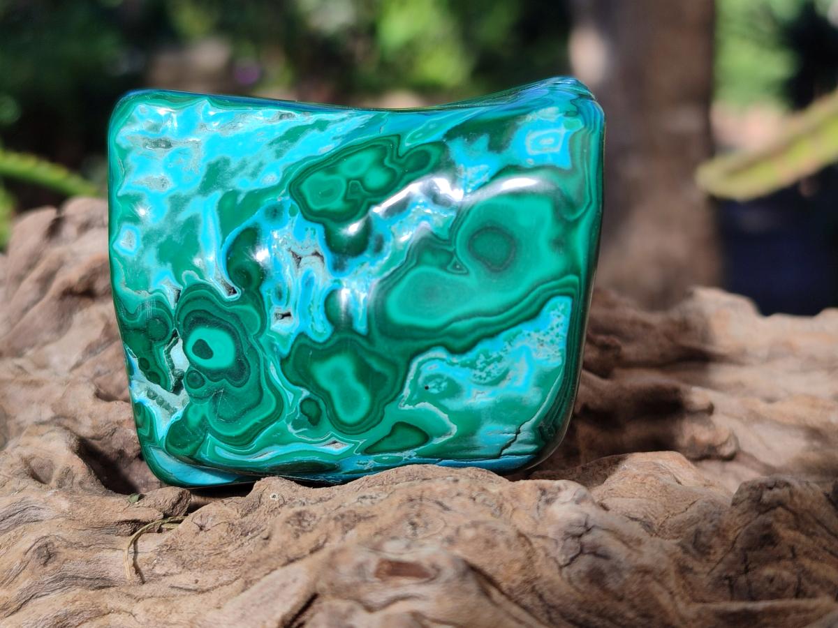 Polished Malacolla Free Forms x 12 From Kulukuluku, Congo - Toprock Gemstones and Minerals 
