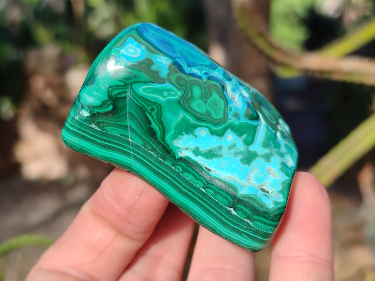 Polished Malacolla Free Forms x 12 From Kulukuluku, Congo - Toprock Gemstones and Minerals 