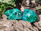 Polished Malacolla Free Forms x 12 From Kulukuluku, Congo - Toprock Gemstones and Minerals 
