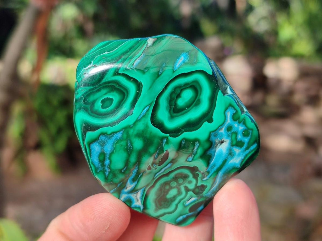 Polished Malacolla Free Forms x 12 From Kulukuluku, Congo - Toprock Gemstones and Minerals 
