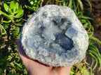 Natural Large Blue Celestite Geode Specimen x 1 From Sakoany, Madagascar - Toprock Gemstones and Minerals 