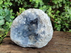 Natural Large Blue Celestite Geode Specimen x 1 From Sakoany, Madagascar - Toprock Gemstones and Minerals 