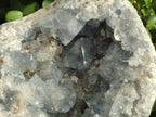 Natural Large Blue Celestite Geode Specimen x 1 From Sakoany, Madagascar - Toprock Gemstones and Minerals 