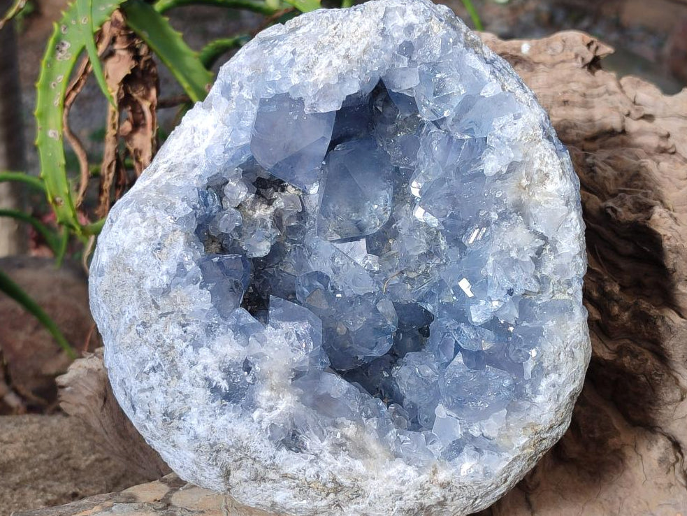 Natural Large Blue Celestite Geode Specimen x 1 From Sakoany, Madagascar - Toprock Gemstones and Minerals 