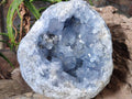 Natural Large Blue Celestite Geode Specimen x 1 From Sakoany, Madagascar - Toprock Gemstones and Minerals 