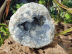 Natural Large Blue Celestite Geode Specimen x 1 From Sakoany, Madagascar - Toprock Gemstones and Minerals 