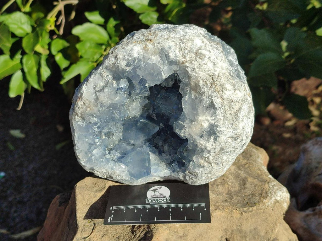 Natural Large Blue Celestite Geode Specimen x 1 From Sakoany, Madagascar - Toprock Gemstones and Minerals 
