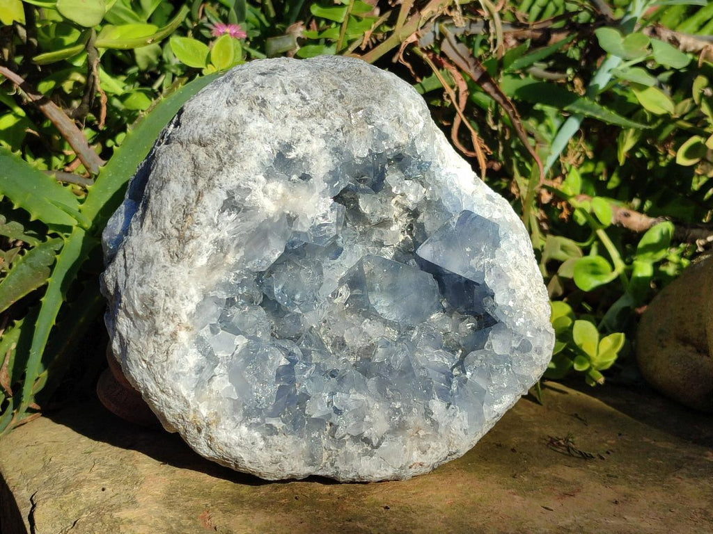 Natural Large Blue Celestite Geode Specimen x 1 From Sakoany, Madagascar - Toprock Gemstones and Minerals 