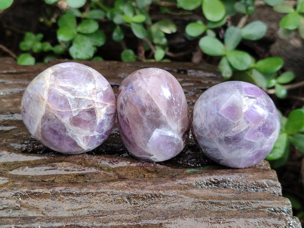 Polished Chevron Amethyst Galets x 12 From Madagascar - Toprock Gemstones and Minerals 