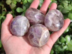 Polished Chevron Amethyst Galets x 12 From Madagascar - Toprock Gemstones and Minerals 