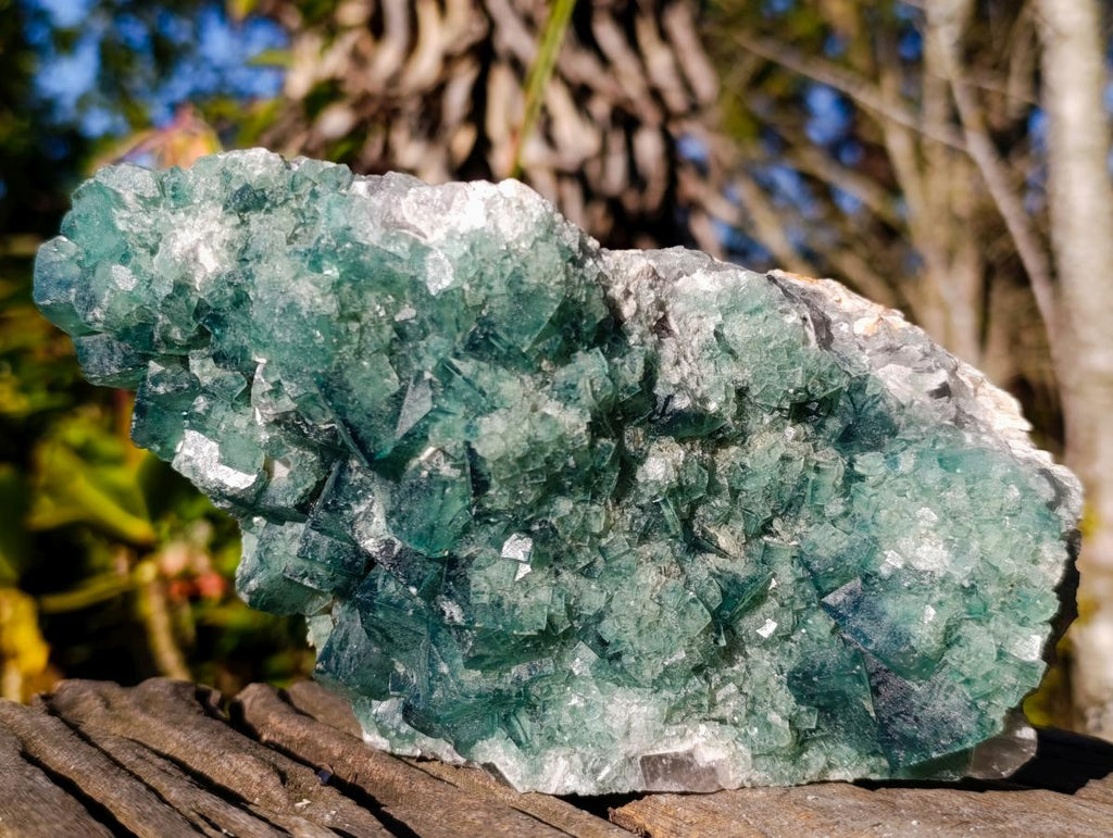 Natural Large Green Cubic Fluorite Specimens x 2 From Mandrosonoro, Madagascar - Toprock Gemstones and Minerals 