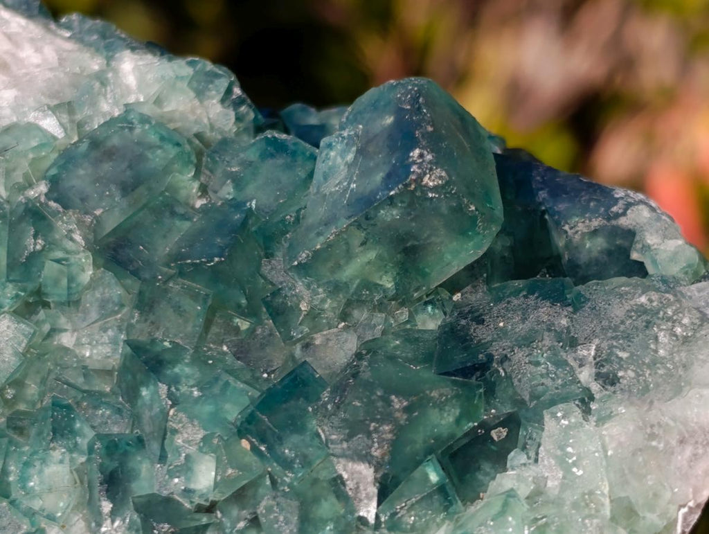 Natural Large Green Cubic Fluorite Specimens x 2 From Mandrosonoro, Madagascar - Toprock Gemstones and Minerals 