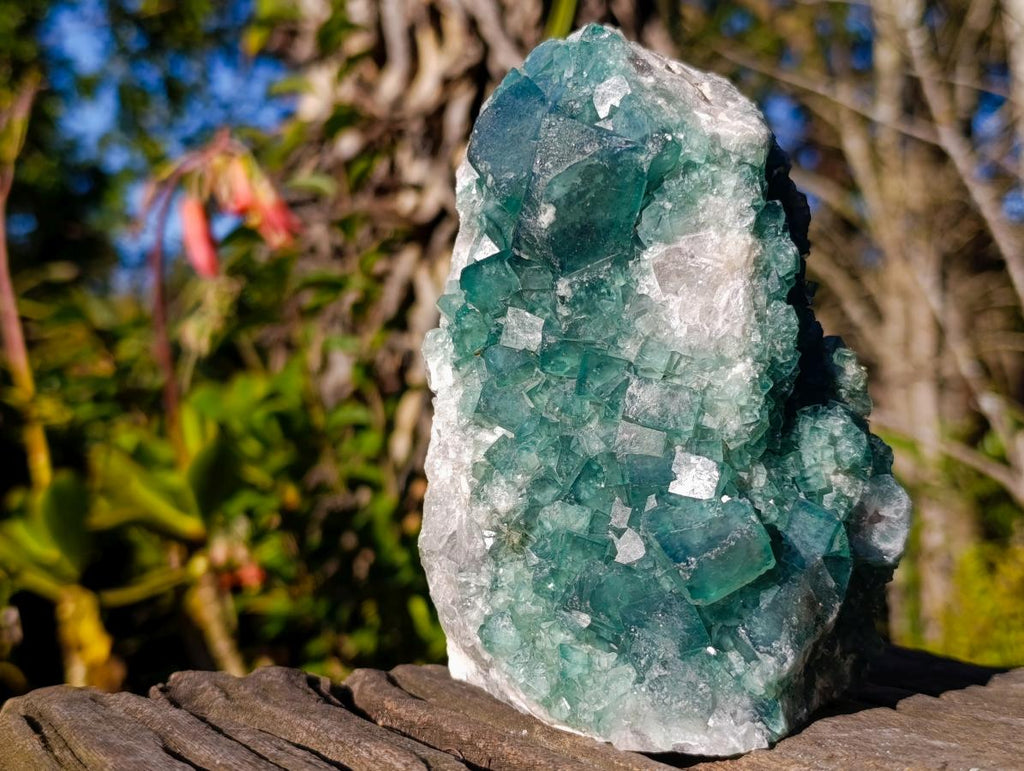 Natural Large Green Cubic Fluorite Specimens x 2 From Mandrosonoro, Madagascar - Toprock Gemstones and Minerals 