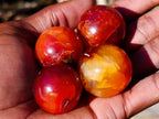 Polished Small Carnelian Agate Gemstone Spheres x 20 From Madagascar - Toprock Gemstones and Minerals 