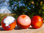 Polished Small Carnelian Agate Gemstone Spheres x 20 From Madagascar - Toprock Gemstones and Minerals 