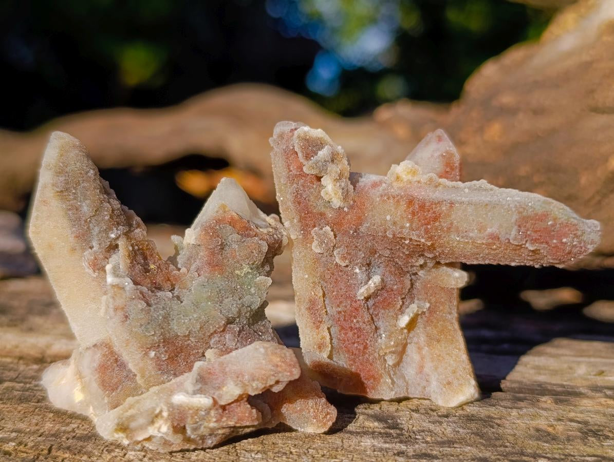 Natural Drusy Fairy Spirit Quartz Crystals with Hematoid Inclusions x 35 From Boekenhouthoek, South Africa - Toprock Gemstones and Minerals 