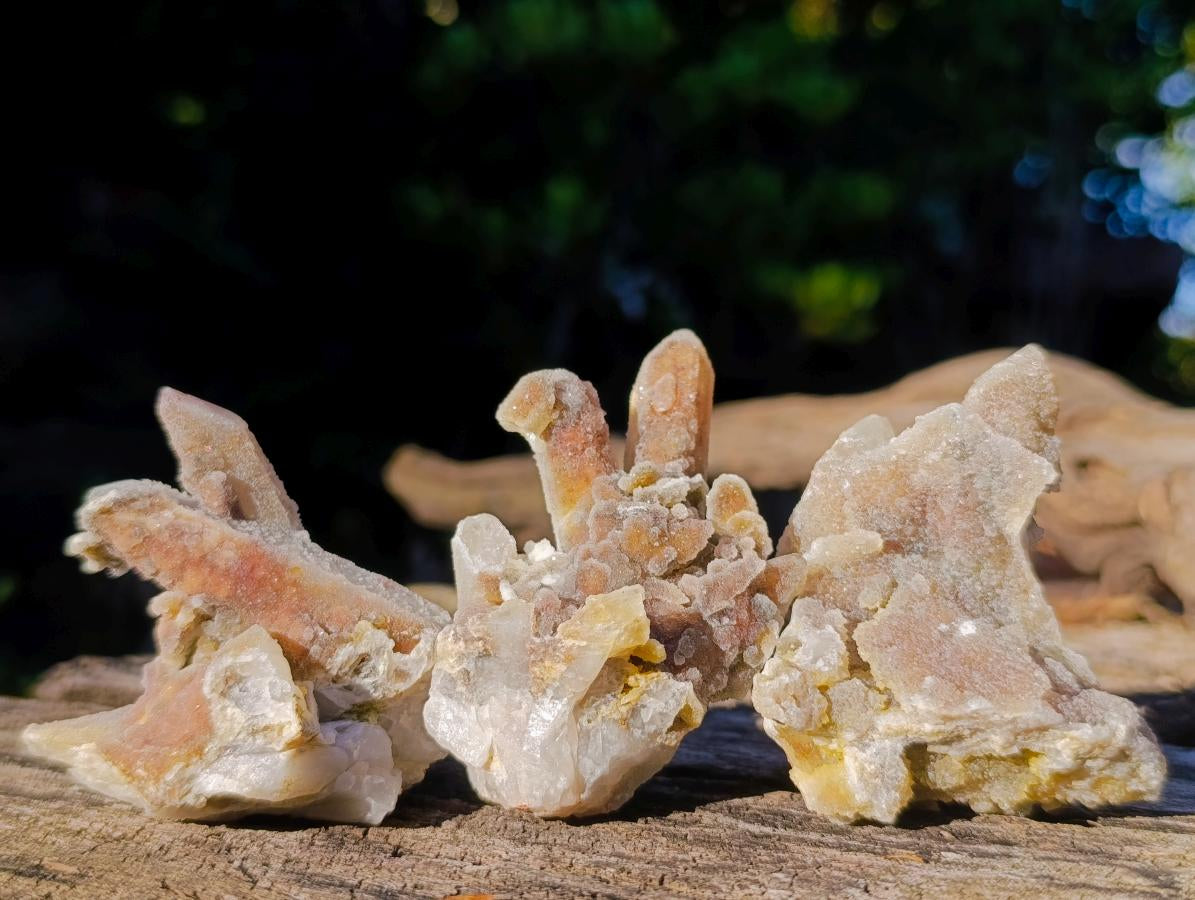 Natural Drusy Fairy Spirit Quartz Crystals with Hematoid Inclusions x 35 From Boekenhouthoek, South Africa - Toprock Gemstones and Minerals 