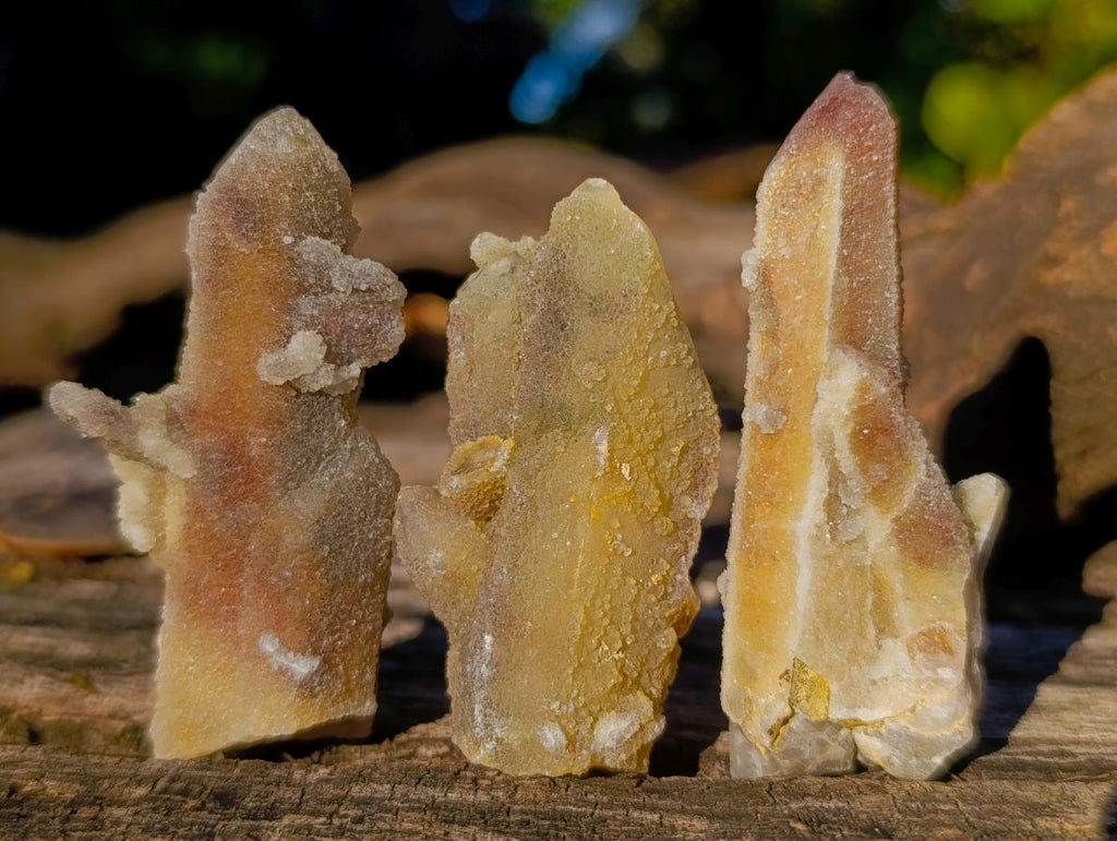 Natural Drusy Fairy Spirit Quartz Crystals with Hematoid Inclusions x 35 From Boekenhouthoek, South Africa - Toprock Gemstones and Minerals 