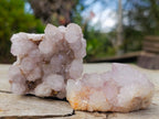 Natural Spirit Amethyst Clusters x 12 From Boekenhouthoek, South Africa - Toprock Gemstones and Minerals 
