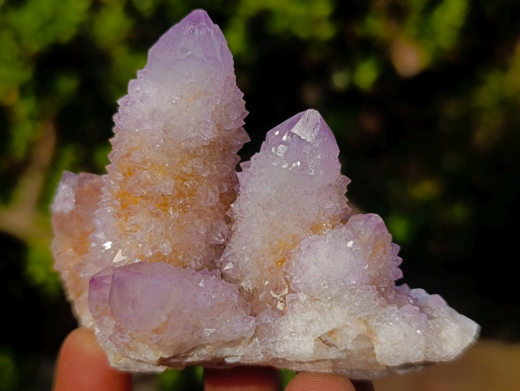 Natural Spirit Amethyst Clusters x 12 From Boekenhouthoek, South Africa - Toprock Gemstones and Minerals 