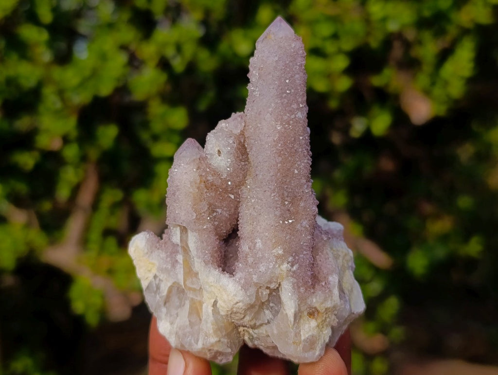 Natural Spirit Amethyst Clusters x 12 From Boekenhouthoek, South Africa - Toprock Gemstones and Minerals 