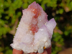 Natural Spirit Amethyst Clusters x 12 From Boekenhouthoek, South Africa - Toprock Gemstones and Minerals 
