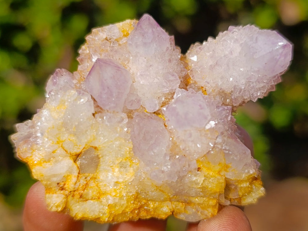 Natural Spirit Amethyst Clusters x 12 From Boekenhouthoek, South Africa - Toprock Gemstones and Minerals 