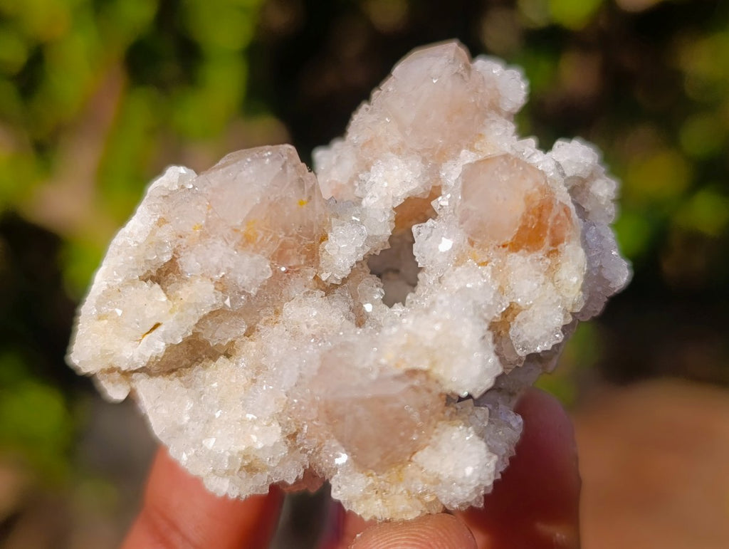 Natural Spirit Amethyst Clusters x 12 From Boekenhouthoek, South Africa - Toprock Gemstones and Minerals 