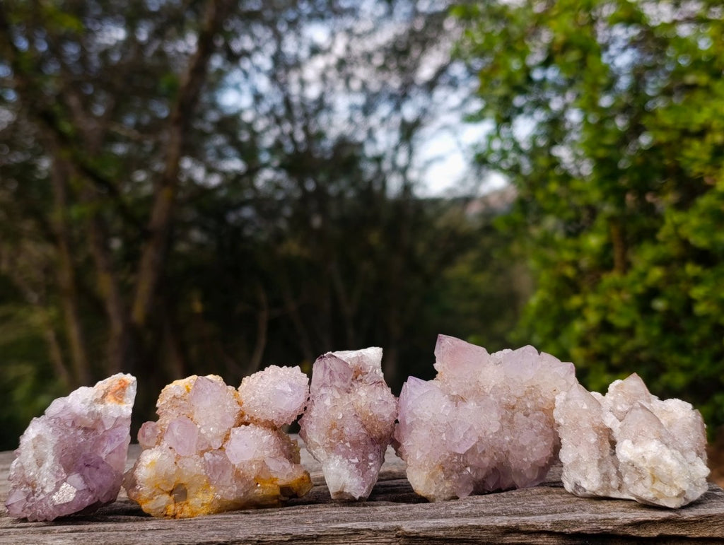 Natural Spirit Amethyst Clusters x 12 From Boekenhouthoek, South Africa - Toprock Gemstones and Minerals 