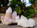 Natural Spirit Amethyst Clusters x 12 From Boekenhouthoek, South Africa - Toprock Gemstones and Minerals 