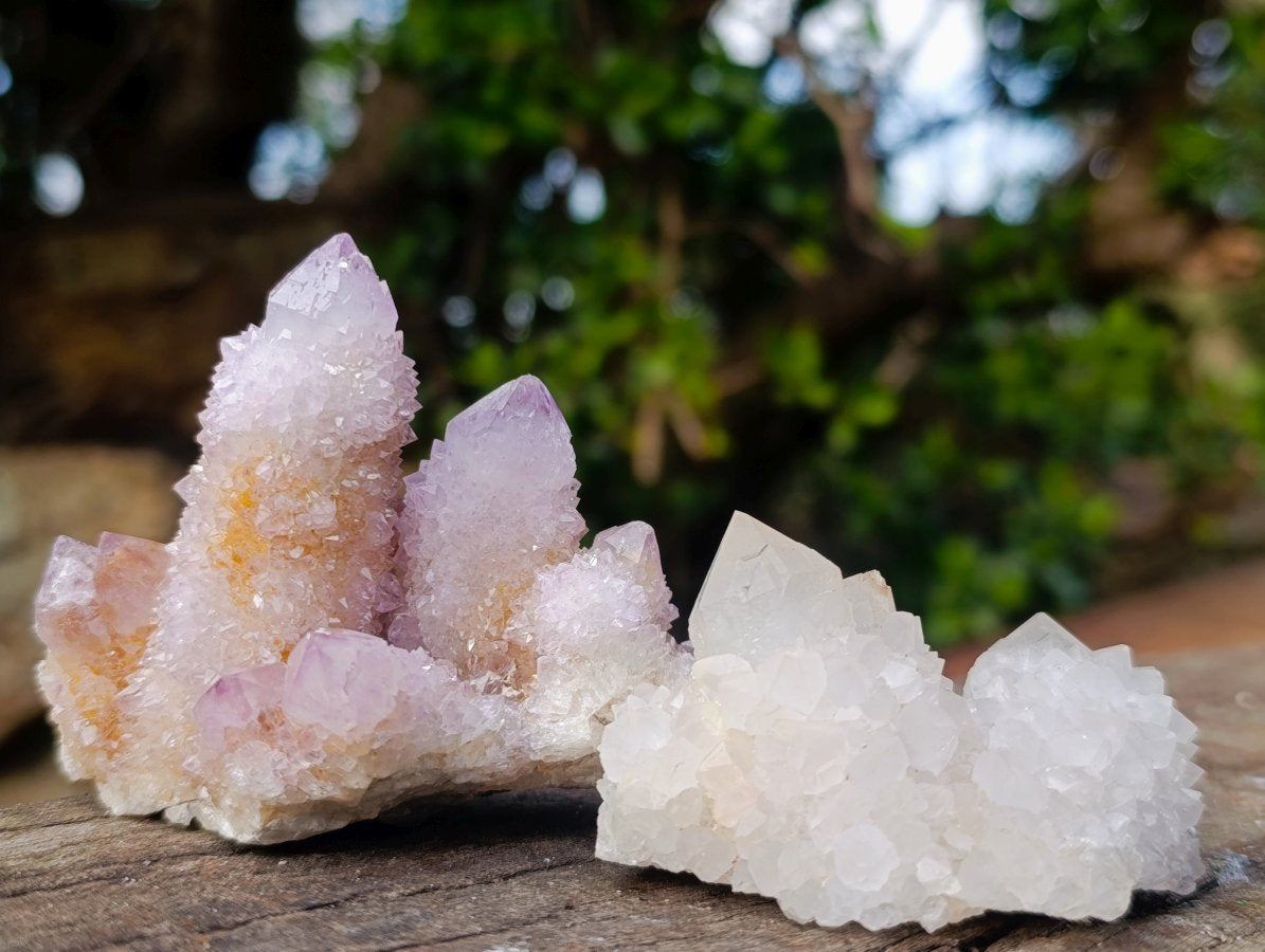 Natural Spirit Amethyst Clusters x 12 From Boekenhouthoek, South Africa - Toprock Gemstones and Minerals 
