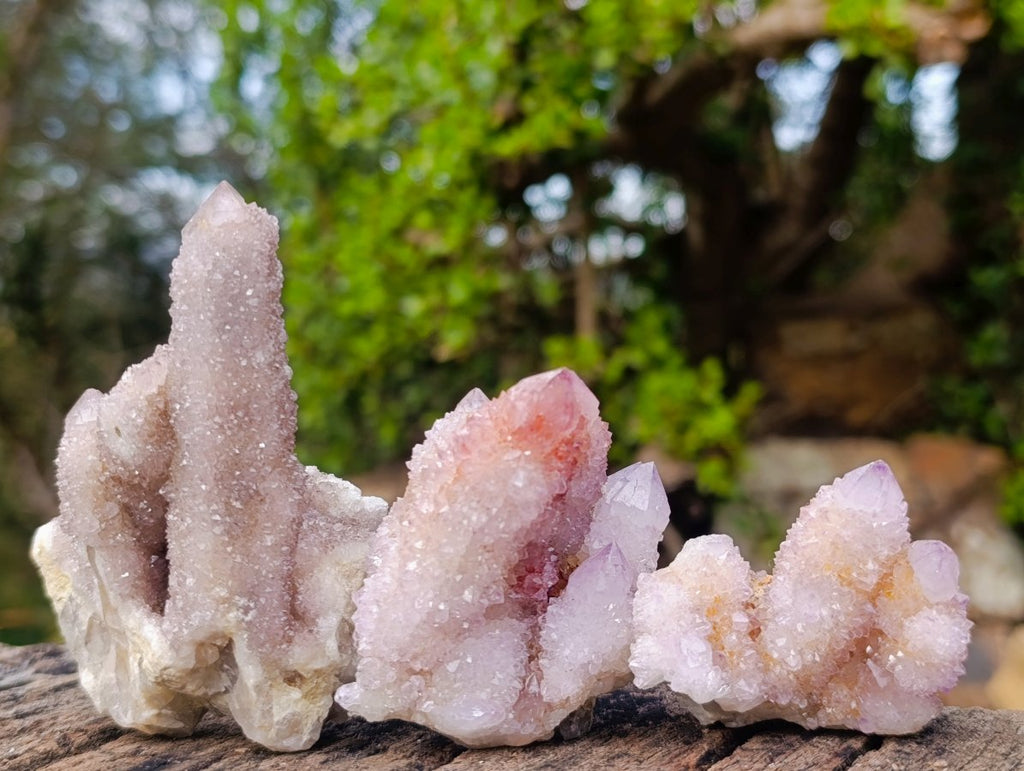 Natural Spirit Amethyst Clusters x 12 From Boekenhouthoek, South Africa - Toprock Gemstones and Minerals 
